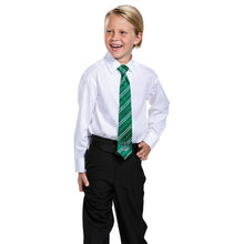 Load image into Gallery viewer, Kids Harry Potter Slytherin Breakaway Tie Costume Accessory
