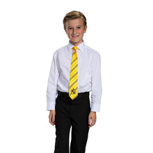 Load image into Gallery viewer, Kids Harry Potter Hufflepuff Breakaway Tie Costume Accessory
