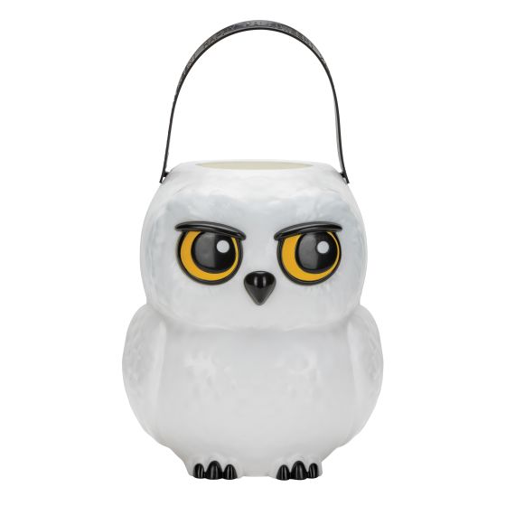 Harry Potter Hedwig Trick or Treat Candy Pail Bucket