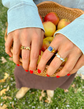 Load image into Gallery viewer, Butterfly Flight Ring
