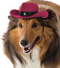 Load image into Gallery viewer, Pets Cowboy Hat - Various Colors
