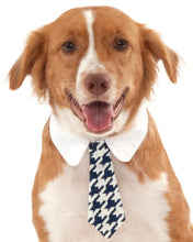 Load image into Gallery viewer, Pets Formal Tie Costume - Various Colors

