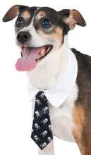 Load image into Gallery viewer, Pets Formal Tie Costume - Various Colors

