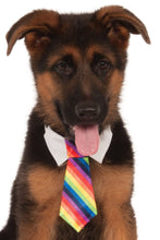 Load image into Gallery viewer, Pets Formal Tie Costume - Various Colors
