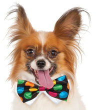 Load image into Gallery viewer, Pets Bow Tie Costume - Various Colors
