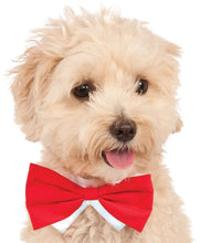Load image into Gallery viewer, Pets Bow Tie Costume - Various Colors
