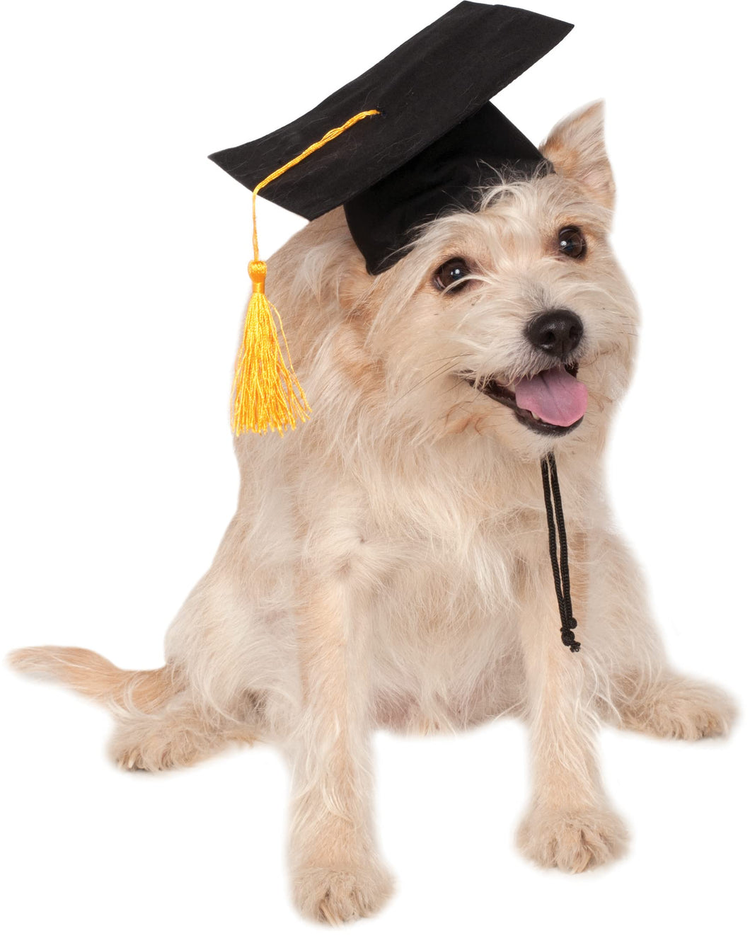 Pets Graduation Hat Costume Accessory