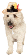 Load image into Gallery viewer, Pets Fedora Hat with Feather Costume Accessory
