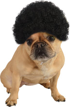 Load image into Gallery viewer, Pets Black Curly Afro Wig Costume Accessory
