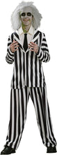 Load image into Gallery viewer, Teens Beetlejuice Costume
