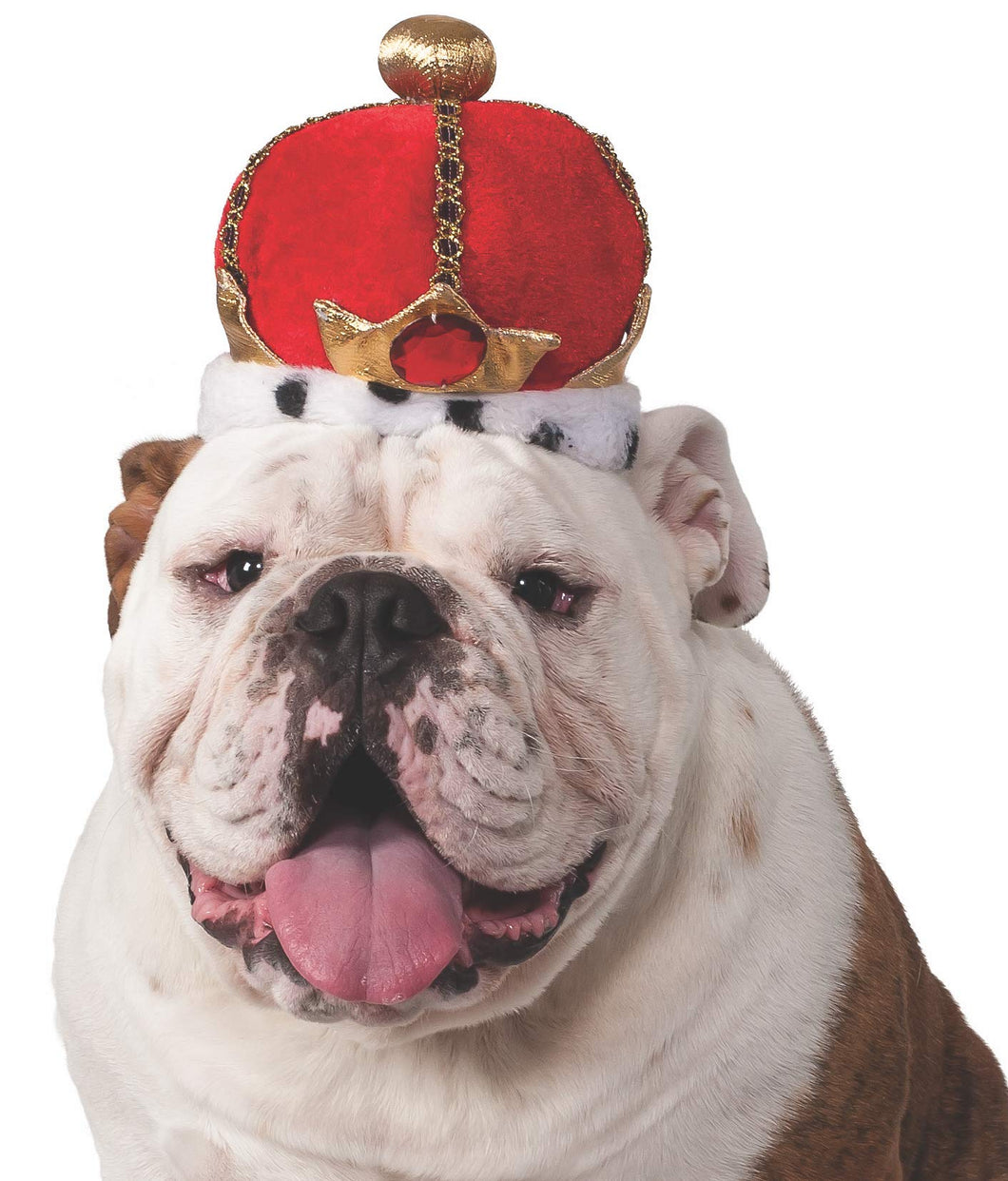 Pets Royal King's Crown Costume Accessory