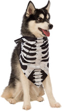 Load image into Gallery viewer, Pets Skeleton Bandana Costume Accessory
