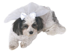 Load image into Gallery viewer, Pets Wedding Veil Costume Accessory
