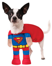 Load image into Gallery viewer, Pets DC Comics Superman Costume
