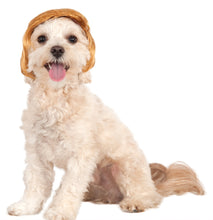 Load image into Gallery viewer, Pets Political Billionaire Costume Wig
