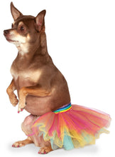 Load image into Gallery viewer, Pets Tutu - Various Colors
