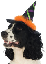 Load image into Gallery viewer, Pets Witch Hat - Various Colors
