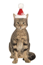 Load image into Gallery viewer, Pets Christmas Santa Hat - Various Colors

