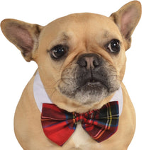 Load image into Gallery viewer, Pets Bow Tie Costume - Various Colors
