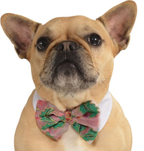 Load image into Gallery viewer, Pets Bow Tie Costume - Various Colors
