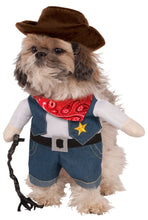 Load image into Gallery viewer, Pets Walking Cowboy Costume
