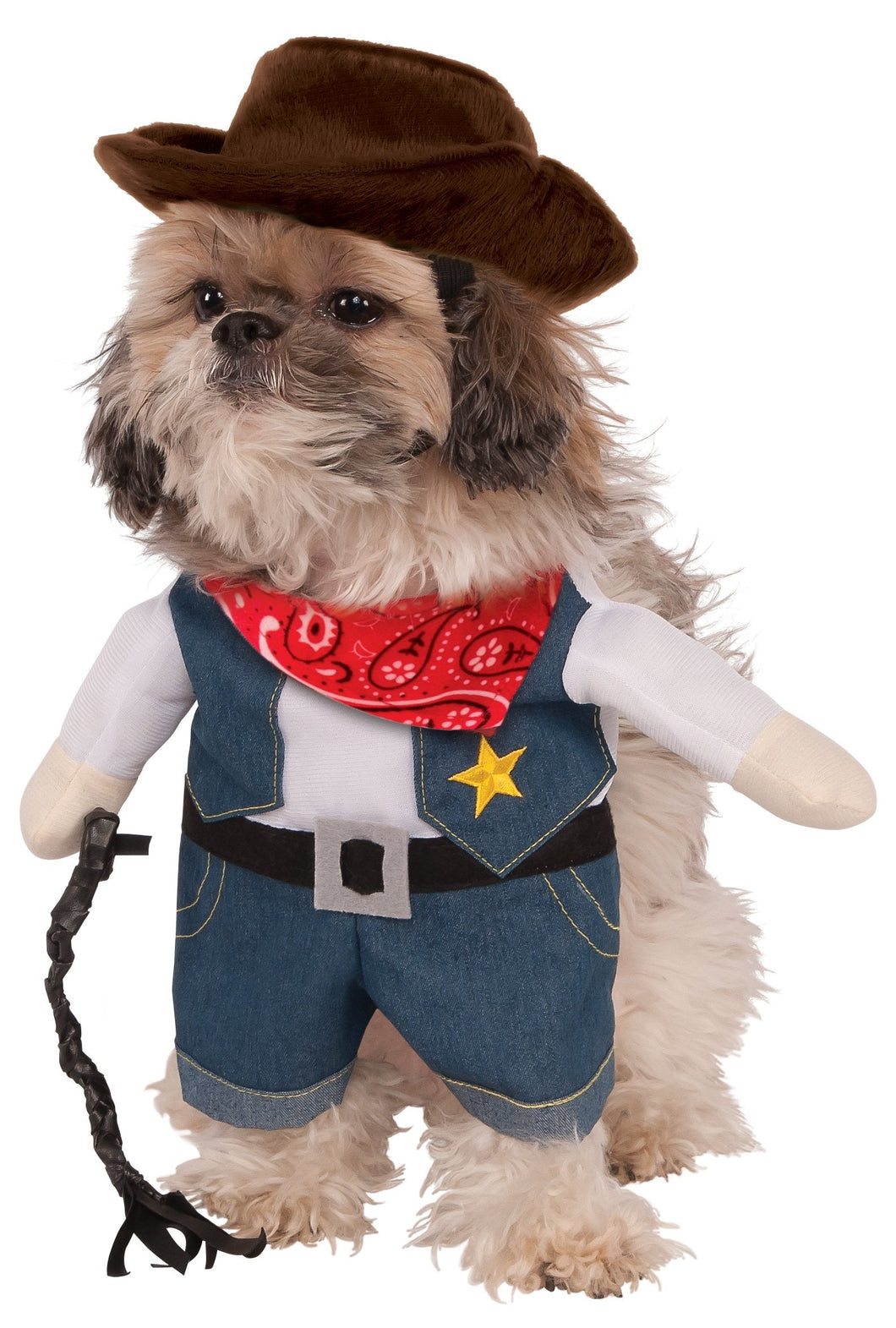 Pets Walking Cowboy Costume