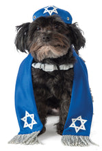 Load image into Gallery viewer, Pets Yarmulke and Tallis Costume Accessory
