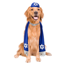 Load image into Gallery viewer, Pets Yarmulke and Tallis Hanukkah Set with Star of David
