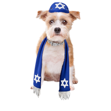 Load image into Gallery viewer, Pets Yarmulke and Tallis Hanukkah Set with Star of David

