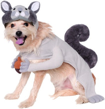 Load image into Gallery viewer, Pets Gray Squirrel with Acorn Costume
