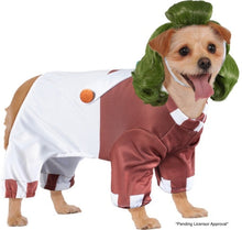 Load image into Gallery viewer, Pets Willy Wonka &amp; the Chocolate Factory Ooompa Loompa Costume
