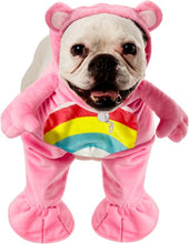 Load image into Gallery viewer, Pets Care Bears Cheer Bear Costume
