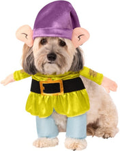Load image into Gallery viewer, Pets Disney&#39;s Snow White and the Seven Dwarfs Dopey Costume
