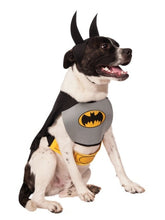 Load image into Gallery viewer, Pets DC Universe Batman Bib &amp; Cape Costume

