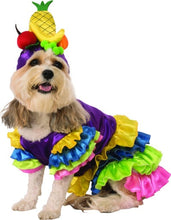 Load image into Gallery viewer, Pets Brazilian Bombshell Carmen Miranda Costume

