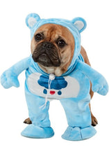 Load image into Gallery viewer, Pets Care Bears Grumpy Bear Costume
