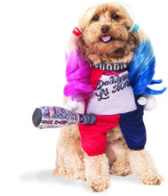 Load image into Gallery viewer, Pets DC Universe Harley Quinn Costume
