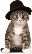 Load image into Gallery viewer, Pets Top Hat Costume Accessory
