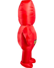 Load image into Gallery viewer, Adults Inflatable Sour Patch Kids Candy Costume
