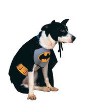 Load image into Gallery viewer, Pets DC Universe Batman Bib &amp; Cape Costume
