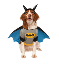 Load image into Gallery viewer, Pets DC Universe Batman Shirt &amp; Cape Costume
