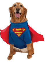 Load image into Gallery viewer, Pets DC Universe Superman Shirt &amp; Cape Costume
