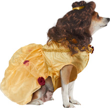 Load image into Gallery viewer, Pets Disney&#39;s Beauty and the Beast Belle Costume
