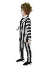Load image into Gallery viewer, Kids Beetlejuice Costume
