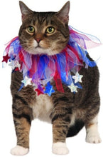 Load image into Gallery viewer, Pets Collar - Various Colors
