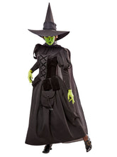 Load image into Gallery viewer, Womens Wizard of Oz Deluxe Wicked Witch Costume
