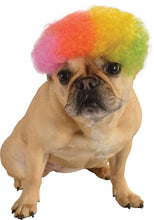 Load image into Gallery viewer, Pets Rainbow Afro Wig Costume Accessory
