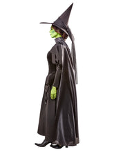 Load image into Gallery viewer, Womens Wizard of Oz Deluxe Wicked Witch Costume

