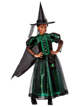 Load image into Gallery viewer, Girls Wizard of Oz Deluxe Wicked Witch Costume
